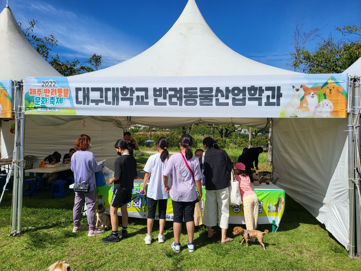대구대학교 반려동물산업학과 제주반려동물문화축제 부스운영